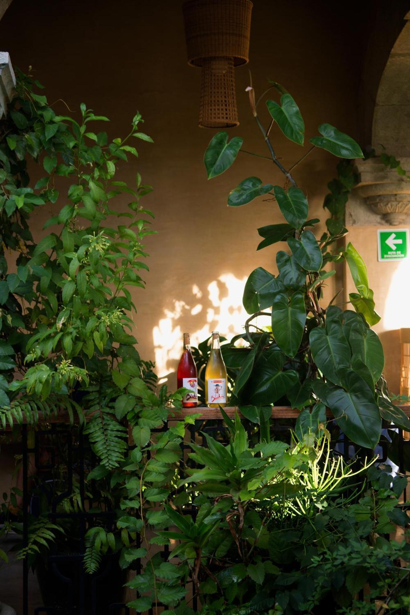 Casa Antonieta Hotel Oaxaca Exterior photo